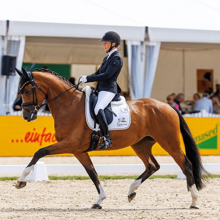 Weltmeisterschaft der Dressurpferde Tickets