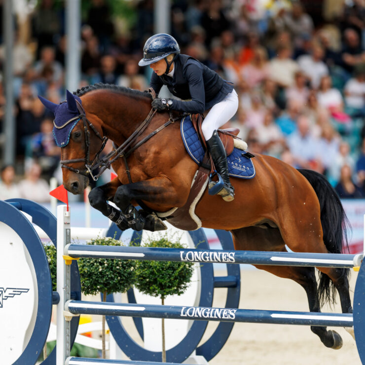 Turniergelände Schloss Wocklum, Balve Longines Balve Optimum | Tickets