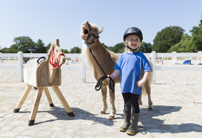 Pferde für unsere Kinder e.V. Spenden