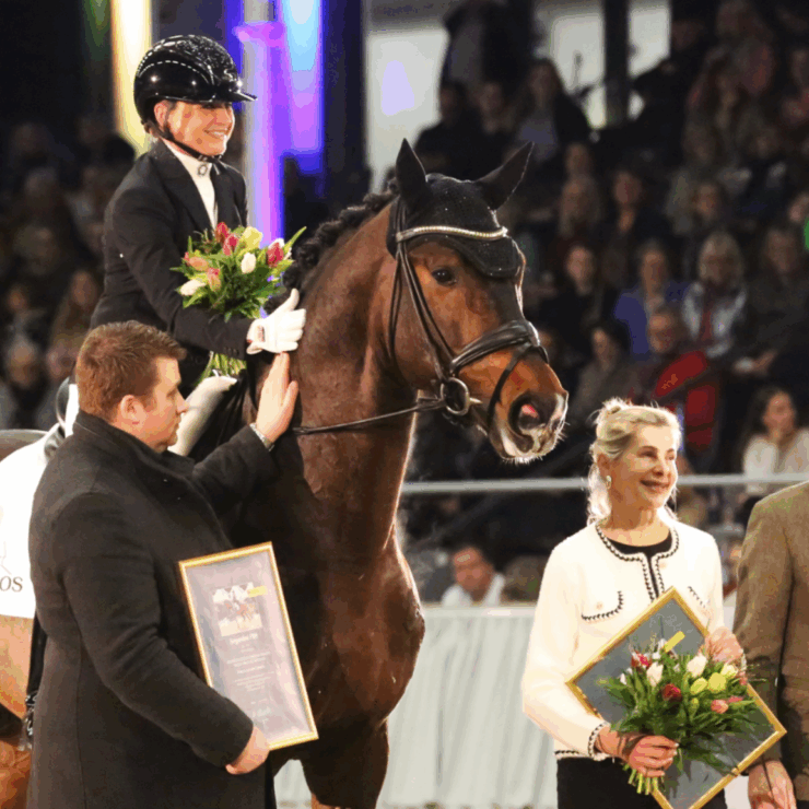 Reitsport Hannoveraner Privathengstschau | Tickets