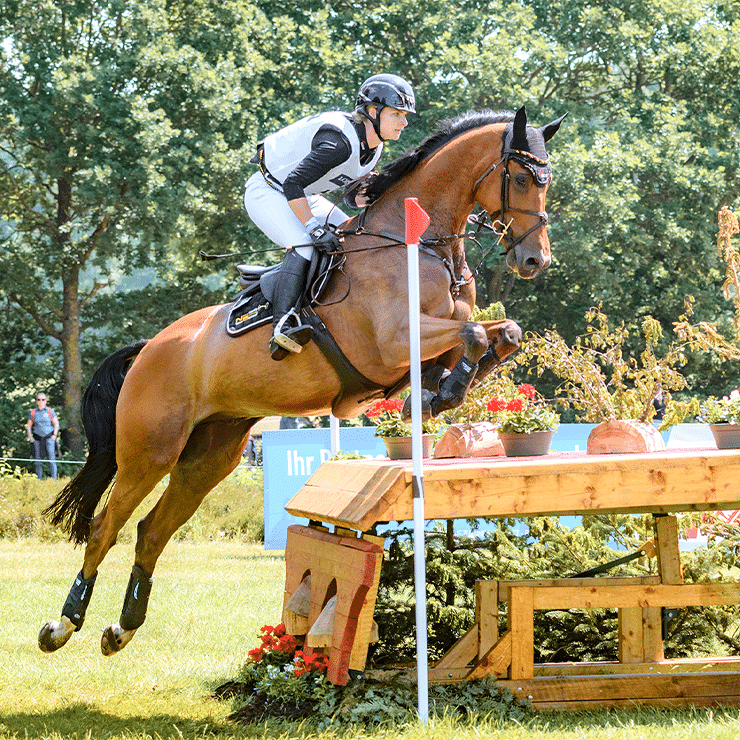 luhmühlen 2026 tickets