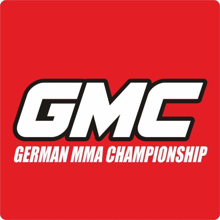 Mixed Martial Arts: MMA in Deutschland