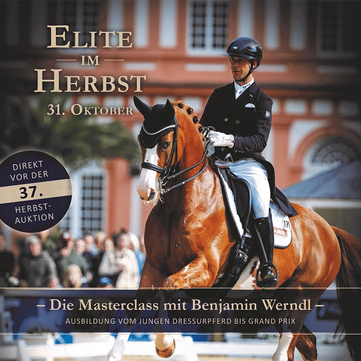 Reitsport 37. Herbstauktion - Elite im Herbst & Masterclass mit Benjamin Werndl | Tickets