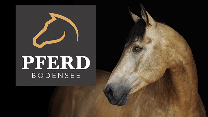pferd bodensee tickets