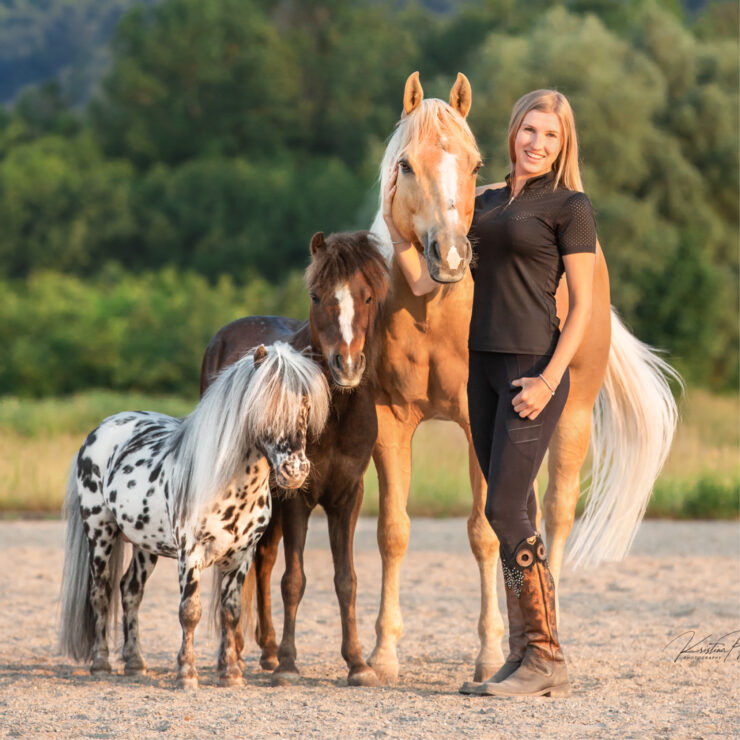 PFERD BODENSEE 2026 | Familienshow: "Liberty Stars live" - Sonntag