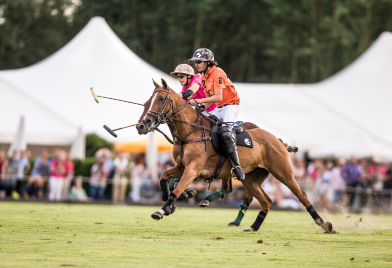 Polopicknick