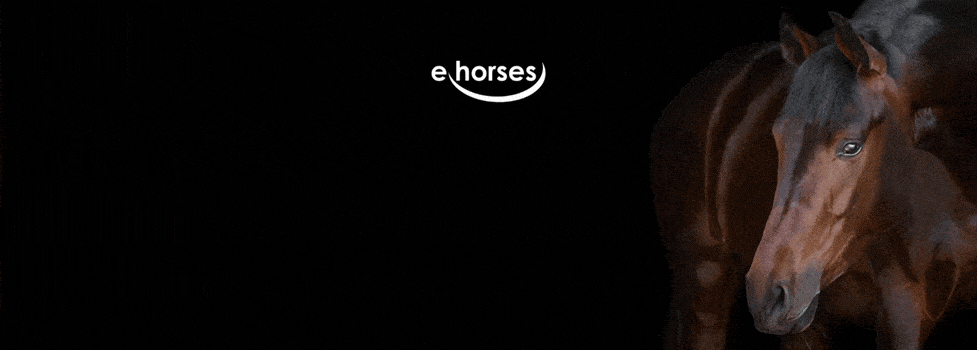 ehorses Ticketmaster Marketplace Marktplatz Pferde Pferdesport